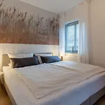 Koje 34 Böhl